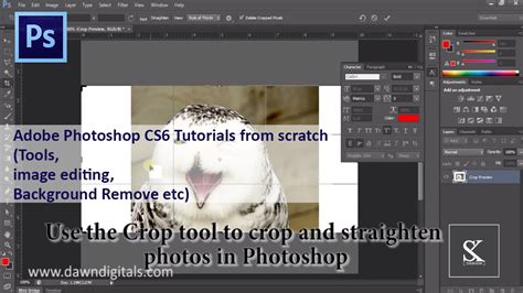 Image result for How to Use PS CS6