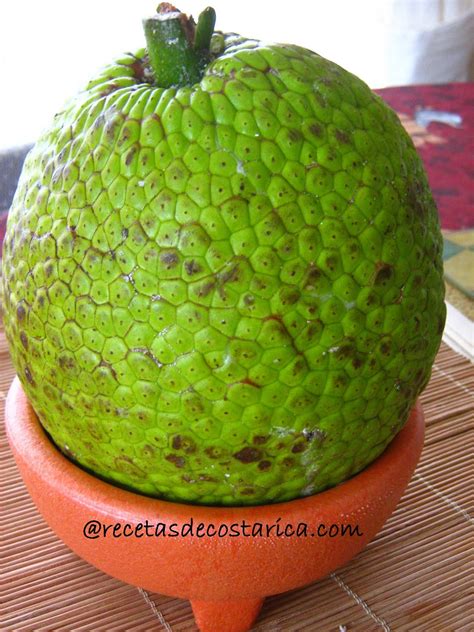 Cocina Costarricense: fruta de pan