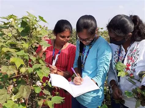 Best Agriculture College in Telangana – SR University