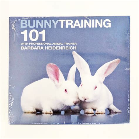 Bildergebnis für rabbit training tips