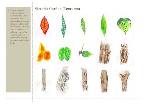 Mounting Levels | CEPT - Portfolio
