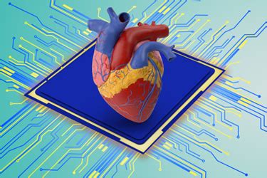 From Chips To Genes: The New Era Of Animal Models Transforming Drug ...