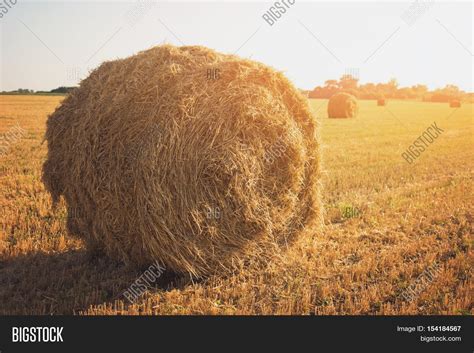 Hay Bale On Field. Image & Photo (Free Trial) | Bigstock
