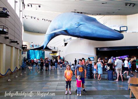 Aquarium Of The Pacific