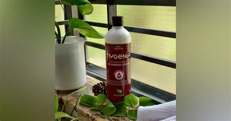 Try these eco friendly, effective and biodegradable cleaners and level ...