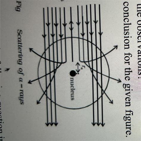 1. Answer the following questions observing the given diagram: a. What ...