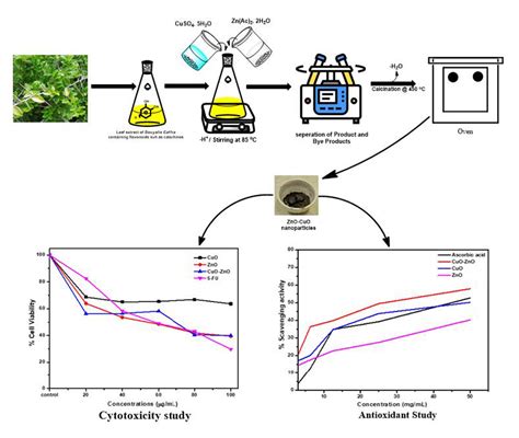 Biogenic Synthesis of CuO, ZnO, and CuO–ZnO Nanoparticles Using Leaf ...