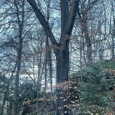 Unlocking the Outdoors- Beyond the Garden Gate, Oldbury Court Children ...