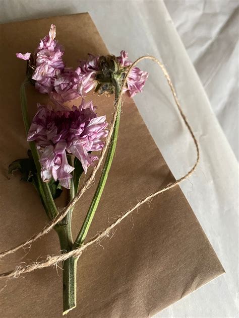 Packing products like wrapping presents – Kissa-goi Studios