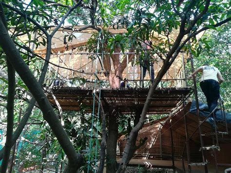 THE JUNGLE FARM (Bordi, Maharashtra) - Campground Reviews & Photos ...