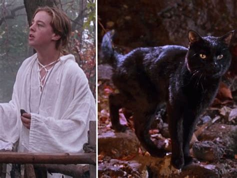 Thackery Binx Shirt for groom | Halloween disney movies, Cats, Thackery ...