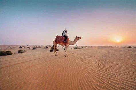 Private Dubai Morning Desert Safari 2023 - Viator