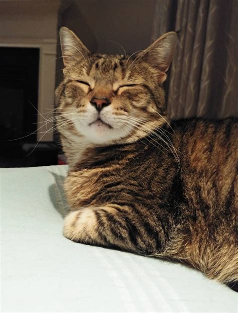 Should I opt for 1800 per month PF deduction or complete 12% deduction ...