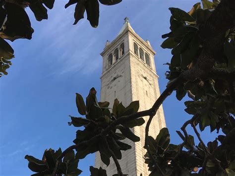 UC Transfer Application | UCLA Transfer Requirements