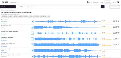 Echoes of Nature: Mastering Thunderstorm Sounds Download for ...