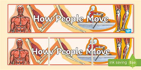 How People Move Display Banner