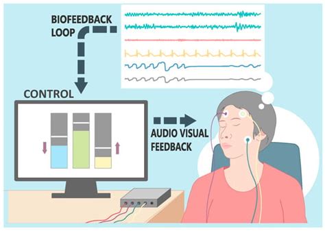 Consumer-Grade Electroencephalogram and Functional Near-Infrared ...