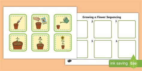 6 Step Sequencing Growing A Flower (teacher made)