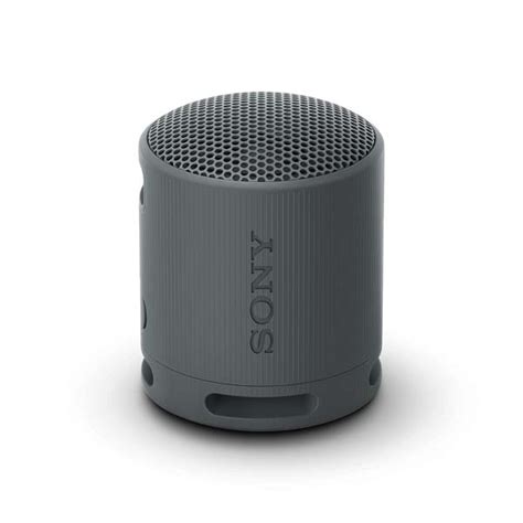 Buy Sony SRS-XB100 Wireless Bluetooth Portable Lightweight Super ...