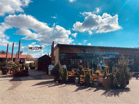 Asheville Nurseries: My Favorite Nurseries & What’s Best at Each Garden ...