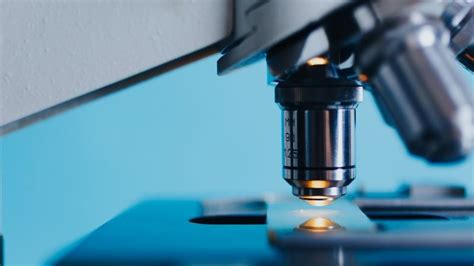 Researchers discover new drug candidates to fight tuberculosis ...