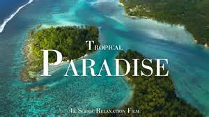 When the Camera Just Watches – Mo'orea, A Tropical Paradise in 4K