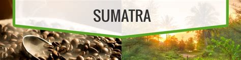 Image result for Java Sumatra Coffee Beans