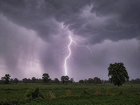 Shepherd dies after lightning strike in Karnataka's Davanagere amid ...