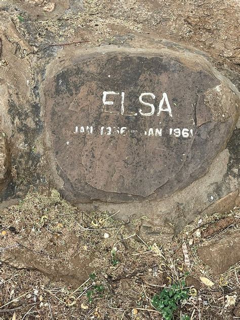 ELSA'S KOPJE (Meru National Park) - Resort Reviews & Photos - Tripadvisor