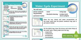 The Water Cycle Puddle Experiment