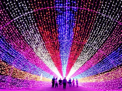 While We Assume Energy-Saving LEDs Are Good, They Actually Raise Risk ...