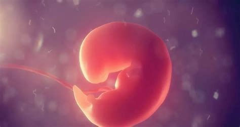 医生说没有胎心胎芽让流掉！孕妈妈这样做救了孩子！ |孕期知识|糖糕妈妈育儿网