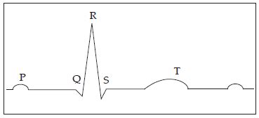 NCERT Solutions for Class 11 Biology Chapter 18 Body Fluids and Circulation