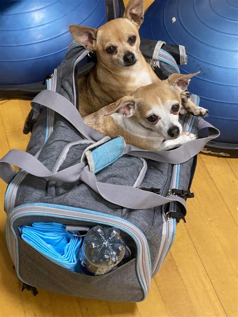 ELLSWORTH YMCA, WIGGINS CENTER; A BRANCH OF THE DOWNEAST FAMILY YMCA ...