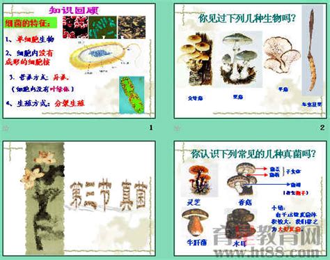 中国大型真菌分类学公民科学计划1.0