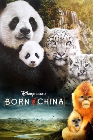 Born in China (我们诞生在中国, 2016) :: Everything about cinema of Hong Kong ...