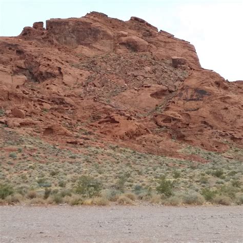 THE BEEHIVES (2026) All You Need to Know BEFORE You Go (with Photos ...