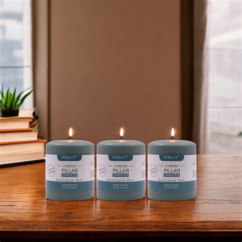 Buy HOSLEY Set of 3 Eucalyptus Mint Scented Pillar Candles from Hosley ...