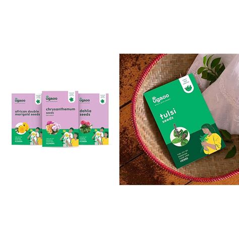 UGAOO Flower Seeds Combo Of Marigold, Dahlia, Chrysanthemum & UGAOO ...