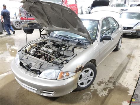 Vehicle List - Ewe Pullet