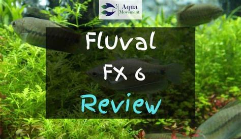 Fluval FX6 Review 的图像结果