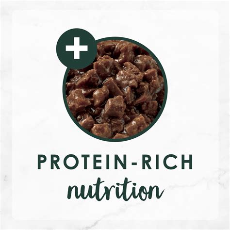 Buy Fancy Feast High Protein Senior Gravy Wet Cat Food, Chicken Feast ...