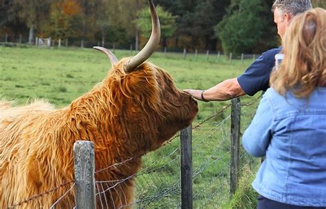 HIGHLAND EXPERIENCE TOURS - All You Need to Know BEFORE You Go 2026 ...