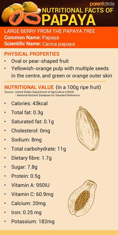 Papaya Health Benefits, Nutrition, Calories & Vitamins in Papaya, Uses of Papaya Fruits & Leaves ...