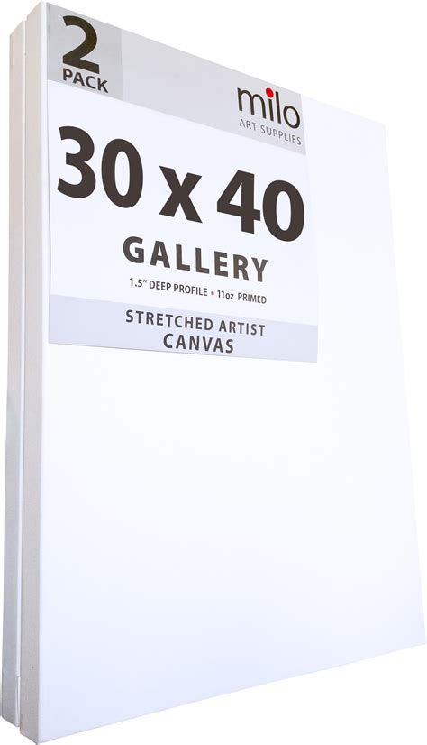 Amazon.com: milo Stretched Artist Canvas | 36x48 inches | 2 Pack | 1.5 ...