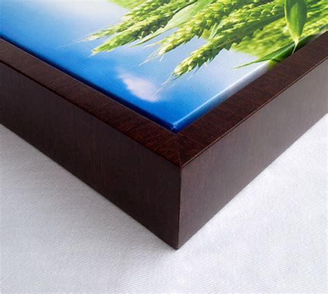 Image result for Canvas Printing Frame