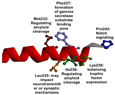 Genetics, Functions, and Clinical Impact of Presenilin-1 (PSEN1) Gene