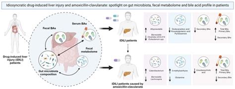 Idiosyncratic Drug-Induced Liver Injury and Amoxicillin–Clavulanate ...