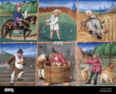 Medieval Europe Agriculture