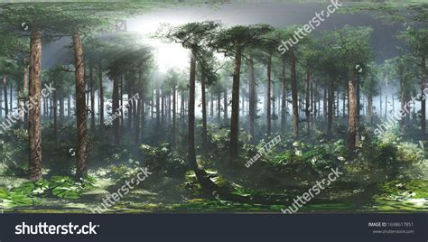 Environment Map 的图像结果